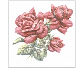 декор tfa012 оранжерея розы