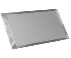 прямоугольная зеркальная серебряная матовая плитка с фацетом 10мм пзсм1-01