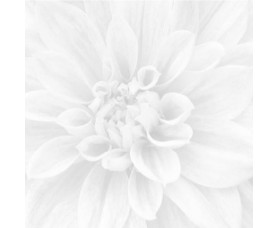 панно crisantemo из 3-х шт 36-05-00-463-0